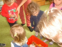 DSCN7013.JPG